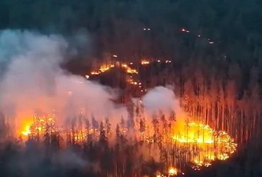 Страшное дополнение войны: в BI объяснили, для чего Украина применяет дроны-драконы