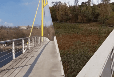 Вырос густой лес: как сейчас выглядит Каховское водохранилище на Херсонщине (видео)