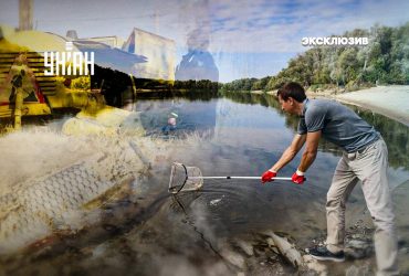 Забруднення Сейму та Десни: хто винен та чим це загрожує Києву