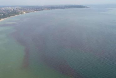 В Одессе Черное море стало красным: от купания лучше воздержаться (фото)