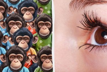 Неймовірний оптичний виклик для мозку: треба знайти пончик серед мавп за 10 секунд