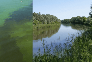 Ситуация с Сеймом: Минприроды рассказало, изменится ли качество воды в кранах потребителей