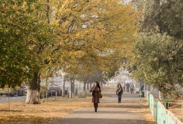 Как увеличить пользу от ежедневной прогулки: ученые дали неожиданный ответ