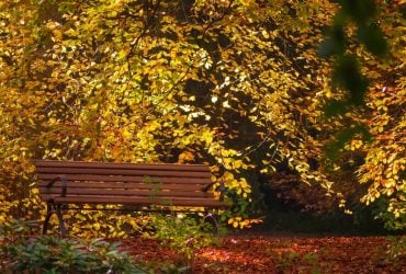 Синоптик порадовала украинцев прогнозом на завтра, но есть важное предупреждение