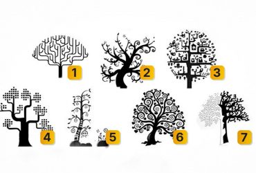 Тест - способны ли вы на измену: выберите дерево, которое нравится больше всего