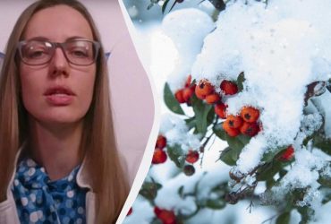 Синоптик ответила, повлияет ли теплый сентябрь на температуру зимой