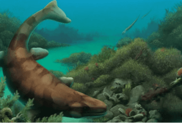 У США виявили щелепи морського чудовиська віком 80 мільйонів років