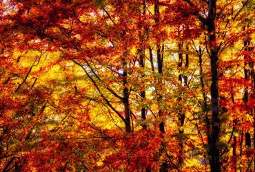 Осіннє рівнодення: чому це свято називають містичним, традиції та заборони