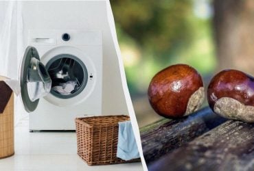 Навіщо кидати каштани в пральну машину: економія порошку і чистота речей