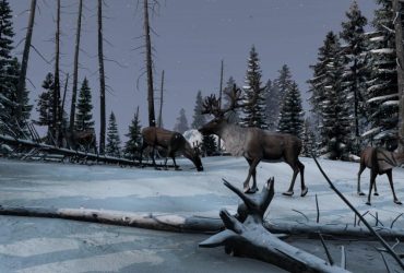 DayZ получит крупное дополнение: в игру добавят зимний регион