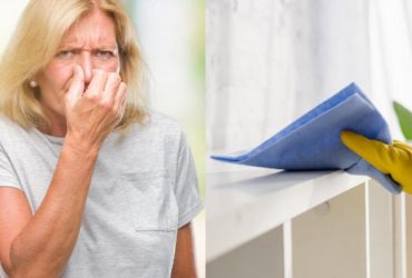 Эти средства убивают любой неприятный запах в квартире: народные лайфхаки