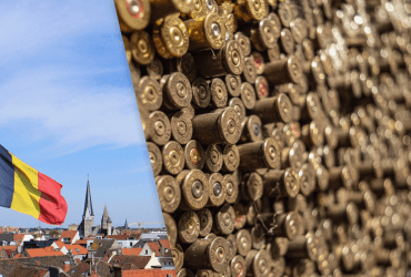 Румыния увеличивает закупку боеприпасов после вторжения российских БпЛА на свою территорию