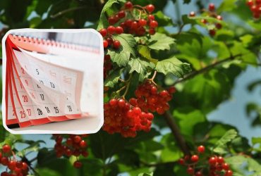 Праздники в октябре 2024: все важные даты, выходные, перевод часов