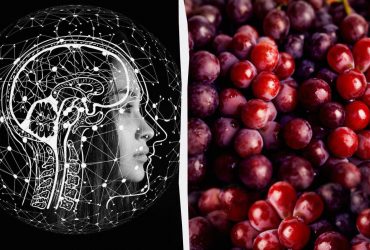 Настоящий вызов для мозга: надо найти красный бриллиант в винограде за 11 секунд