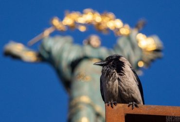 Синоптики розкрили, яка погода чекає на киян 31 травня