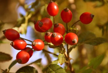 Літо повертається: синоптик заговорила про потепління в Україні