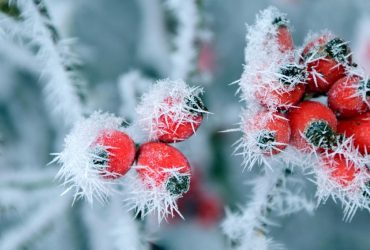 До України йде потужний антициклон з півночі: синоптикиня розказала, що буде з погодою