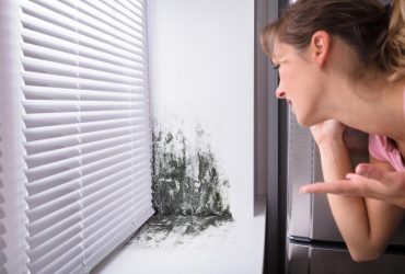 Варто додати лиш один предмет: експерт розповів, як позбутися плісняви у будинку