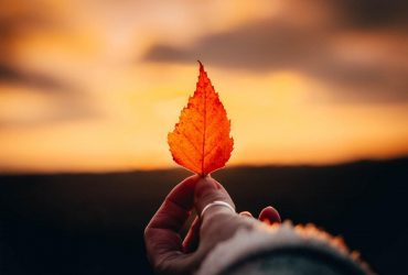 Кінець жовтня потішить українців теплом, але в кількох областях - дощі (карта)