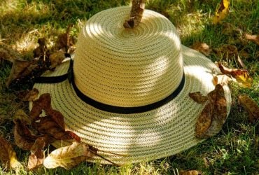 16 вересня Україну розігріє до +26°: куди повернеться літо