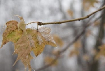 Сьогодні в Україні буде мокрий сніг (карта)