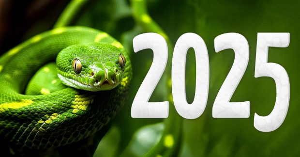 11 апреля погода 2025