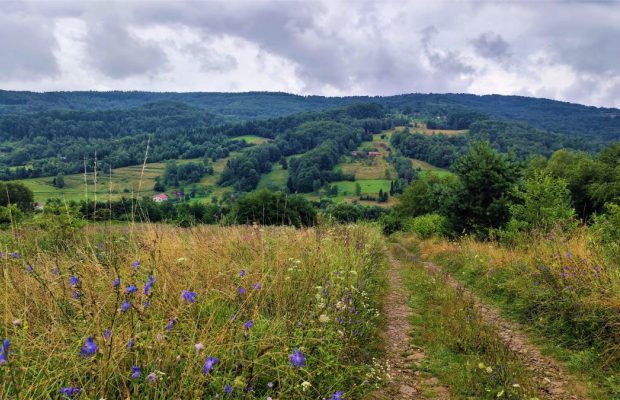 На Львівщині з'являться нові туристичні маршрути: один з них з Трускавця на Орів (фоторепортаж)