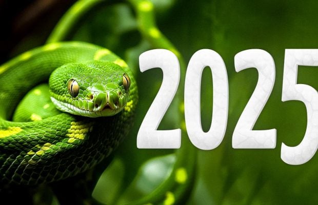 Рік Зеленої Дерев'яної Змії 2025: характеристика і прогноз для України