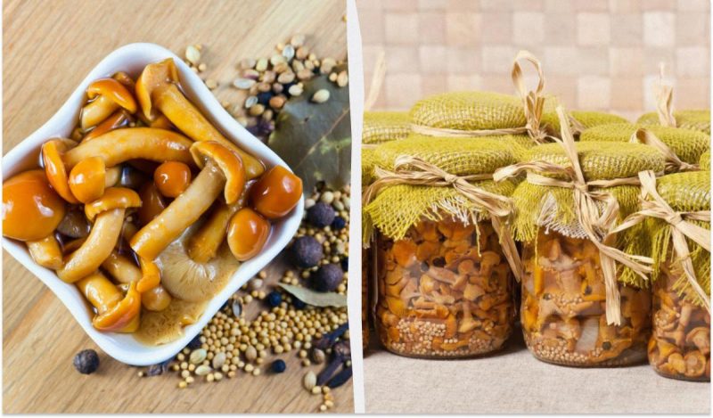 Самые вкусные маринованные белые грибы / коллаж УНИАН, фото ua.depositphotos.com Самые вкусные маринованные белые грибы / коллаж УНИАН, фото ua.depositphotos.com