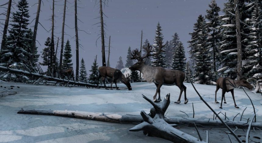 DayZ отримає велике доповнення: у гру додадуть зимовий регіон