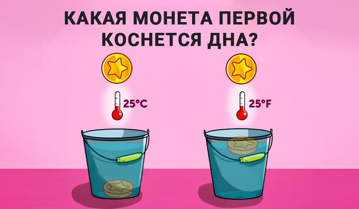Ответ на IQ-тест / коллаж УНИАН Ответ на IQ-тест / коллаж УНИАН