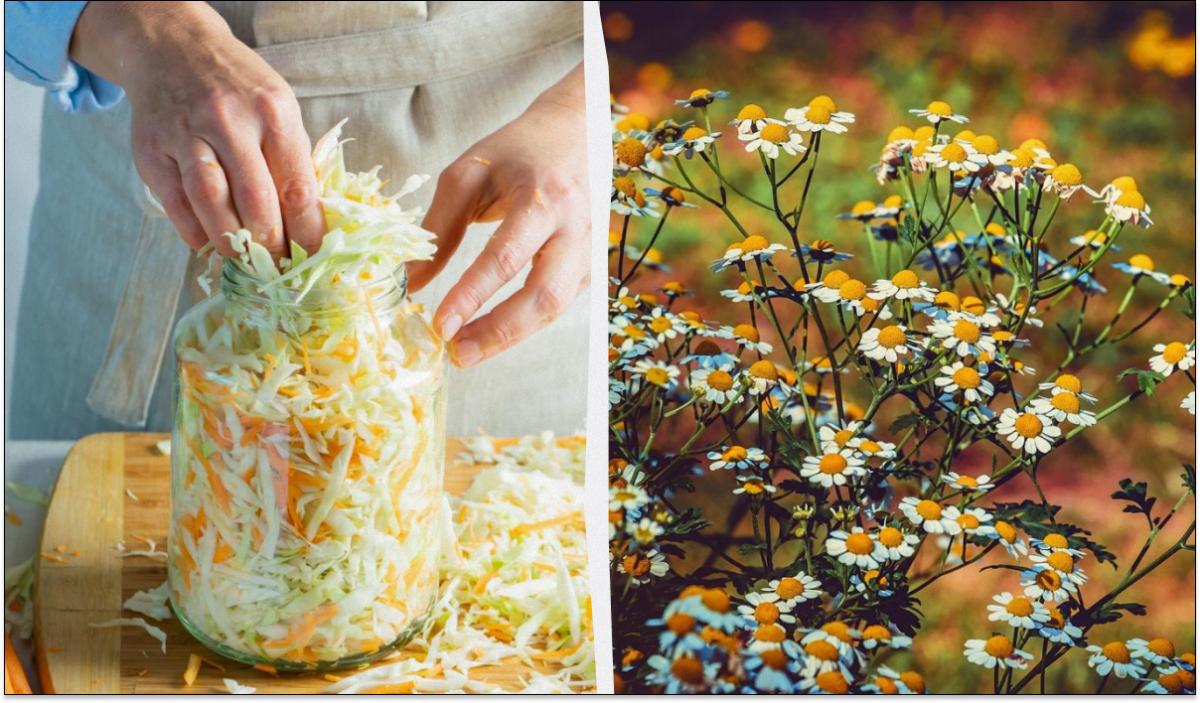 Яке сьогодні свято 8 жовтня / фото Pixabay Яке сьогодні свято 8 жовтня / фото Pixabay