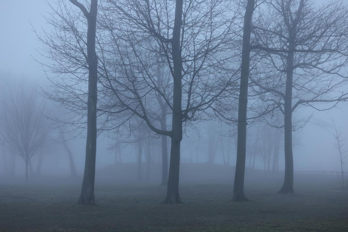 23 січня в Одесі буде туман / фото pexels.com 23 січня в Одесі буде туман / фото pexels.com