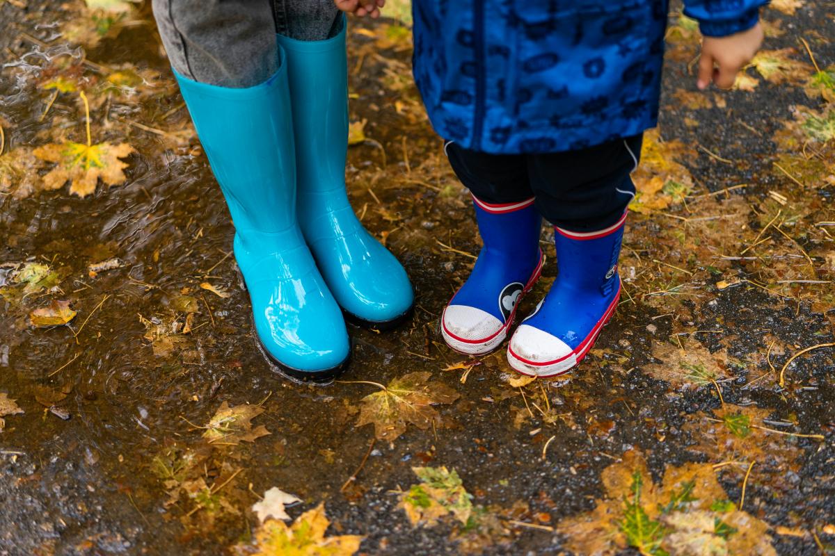 11фото pexels.com 11фото pexels.com