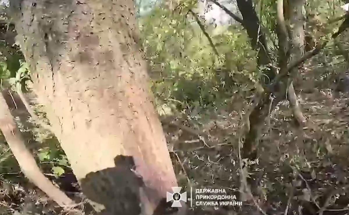 Окупант кликав на допомогу / скриншот з відео Окупант кликав на допомогу / скриншот з відео