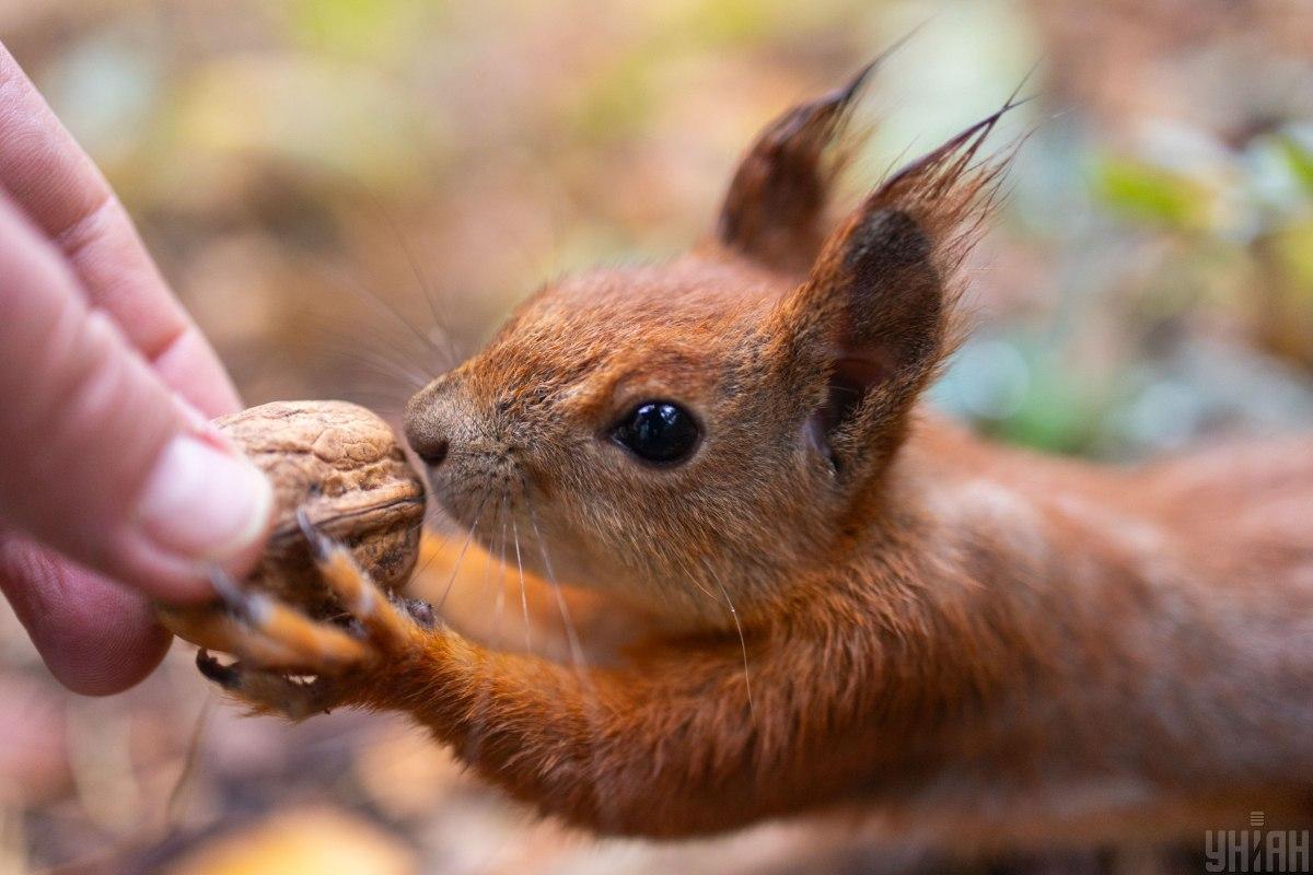 Начало недели в Киеве будет жарким / фото УНИАН Начало недели в Киеве будет жарким / фото УНИАН