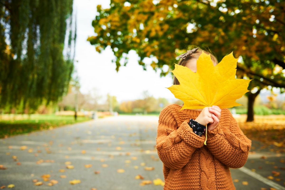 Незабаром в Україні стане помітно тепліше / фото freepik.com