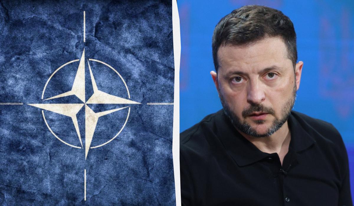 Володимир Зеленський пояснив користь від запрошення України до НАТО / колаж з фото ua.depositphotos.com та УНІАН Володимир Зеленський пояснив користь від запрошення України до НАТО / колаж з фото ua.depositphotos.com та УНІАН