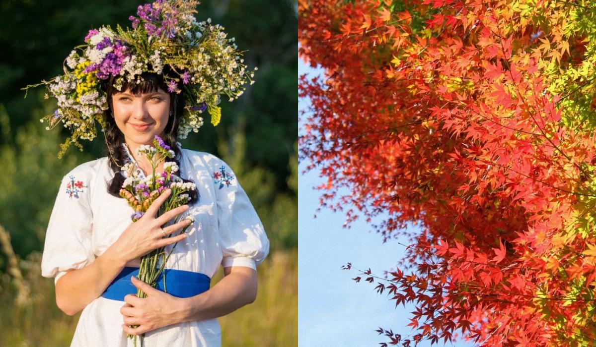 Какой праздник 20 октября / коллаж УНИАН, фото ua.depositphotos.com, pixabay.com Какой праздник 20 октября / коллаж УНИАН, фото ua.depositphotos.com, pixabay.com