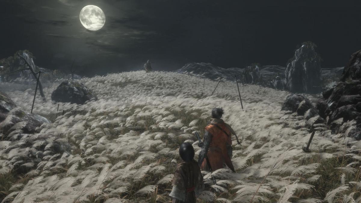 Названы 10 самых сложных игр в истории / Фото - From Software Названы 10 самых сложных игр в истории / Фото - From Software