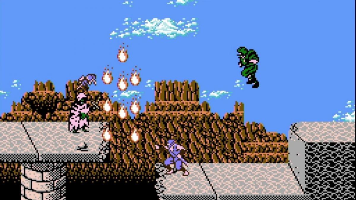 Ninja Gaiden Ninja Gaiden