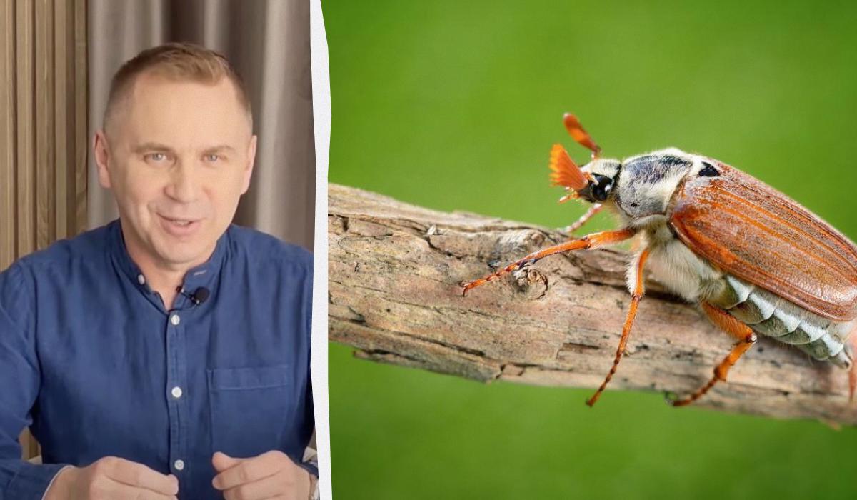 Авраменко также привел еще несколько пословиц соответствий / Коллаж УНИАН, фото ua.depositphotos.com, скриншот Авраменко также привел еще несколько пословиц соответствий / Коллаж УНИАН, фото ua.depositphotos.com, скриншот