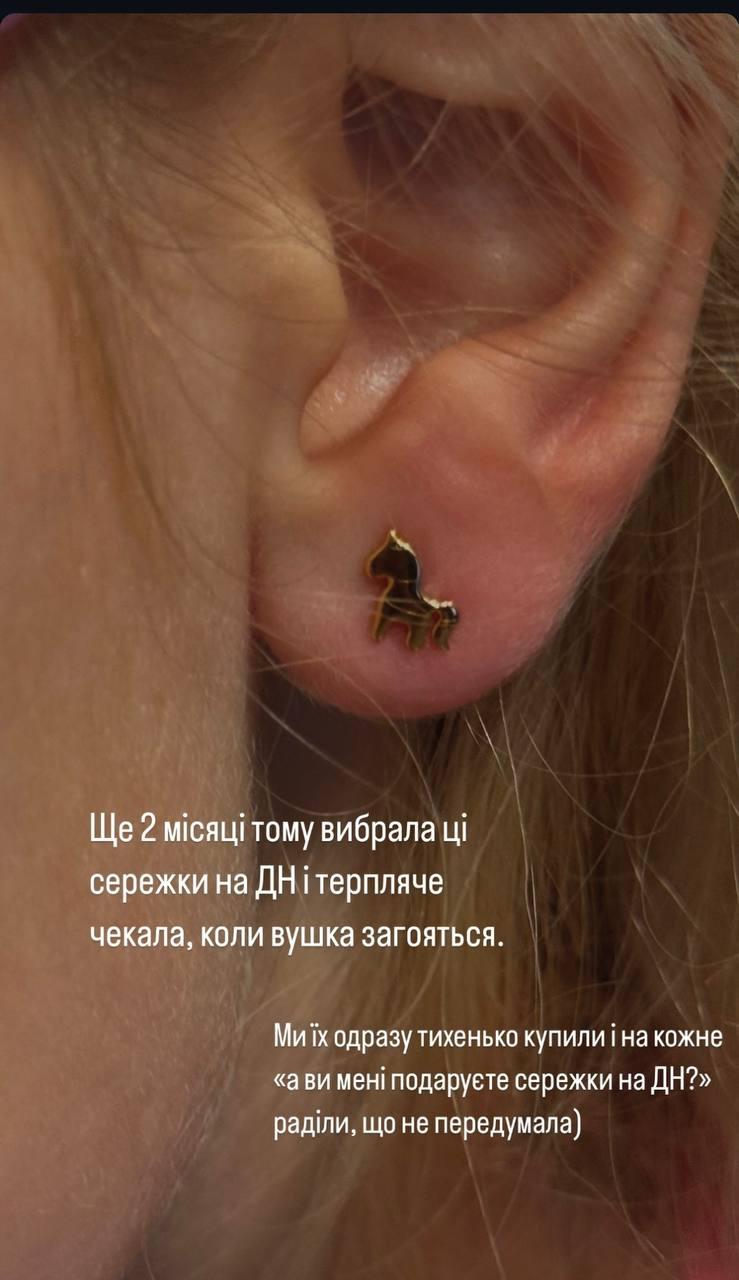 Скриншот сторис Инны Мирошниченко Скриншот сторис Инны Мирошниченко