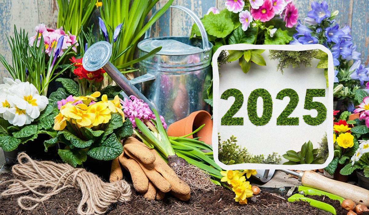 Місячний посівний календар на 2025 рік / колаж УНІАН, фото ua.depositphotos.com Місячний посівний календар на 2025 рік / колаж УНІАН, фото ua.depositphotos.com