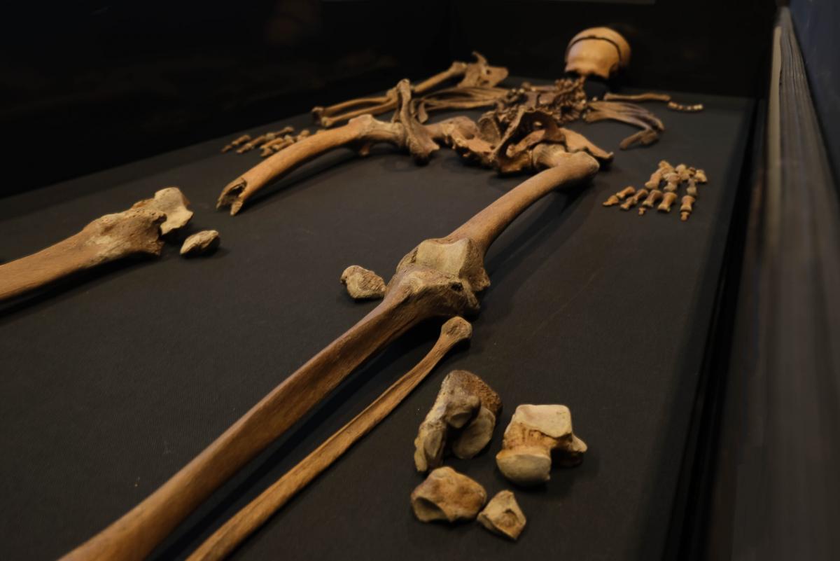 Кістки, які були знайдені у норвезькому замку / фото Norwegian Institute for Cultural Heritage Research Кістки, які були знайдені у норвезькому замку / фото Norwegian Institute for Cultural Heritage Research
