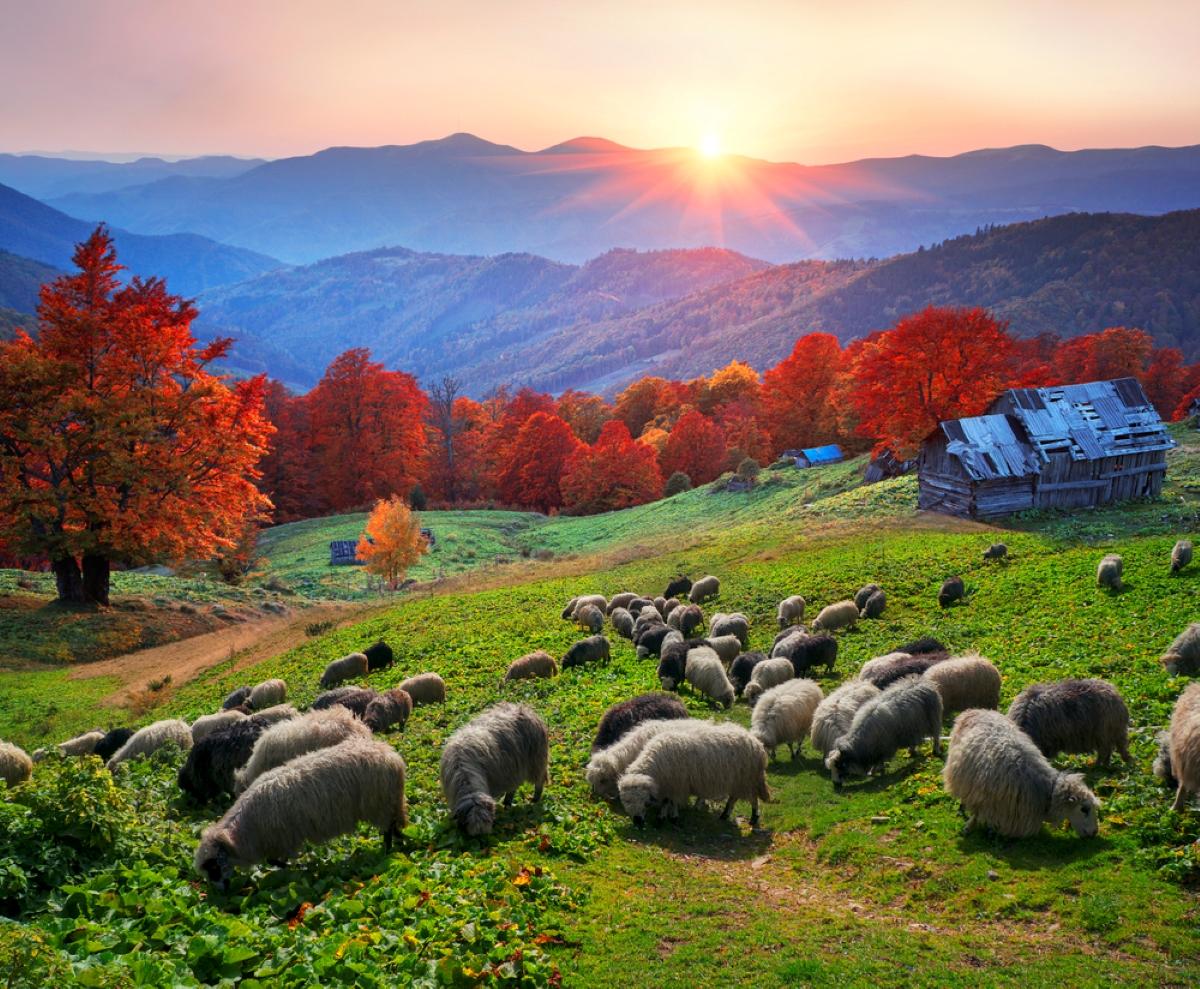 Яке свято 3 листопада в українців / фото ua.depositphotos.com Яке свято 3 листопада в українців / фото ua.depositphotos.com