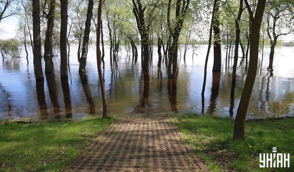 На картинке есть утка, и ее надо быстро найти / коллаж УНИАН На картинке есть утка, и ее надо быстро найти / коллаж УНИАН