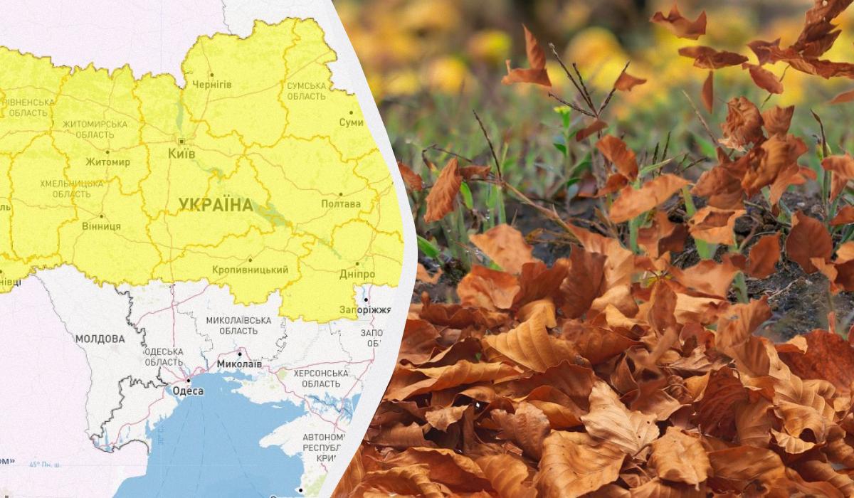 Завтра в Украине будет ветрено / коллаж УНИАН, фото pixabay.com, Укргидрометцентр Завтра в Украине будет ветрено / коллаж УНИАН, фото pixabay.com, Укргидрометцентр