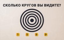 Сколько кругов вы видите на картинке: головоломка, которую нужно решить за 5 секунд