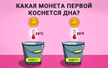 Какая монета первой коснется дна: головоломка, которую нужно решить за 8 секунд